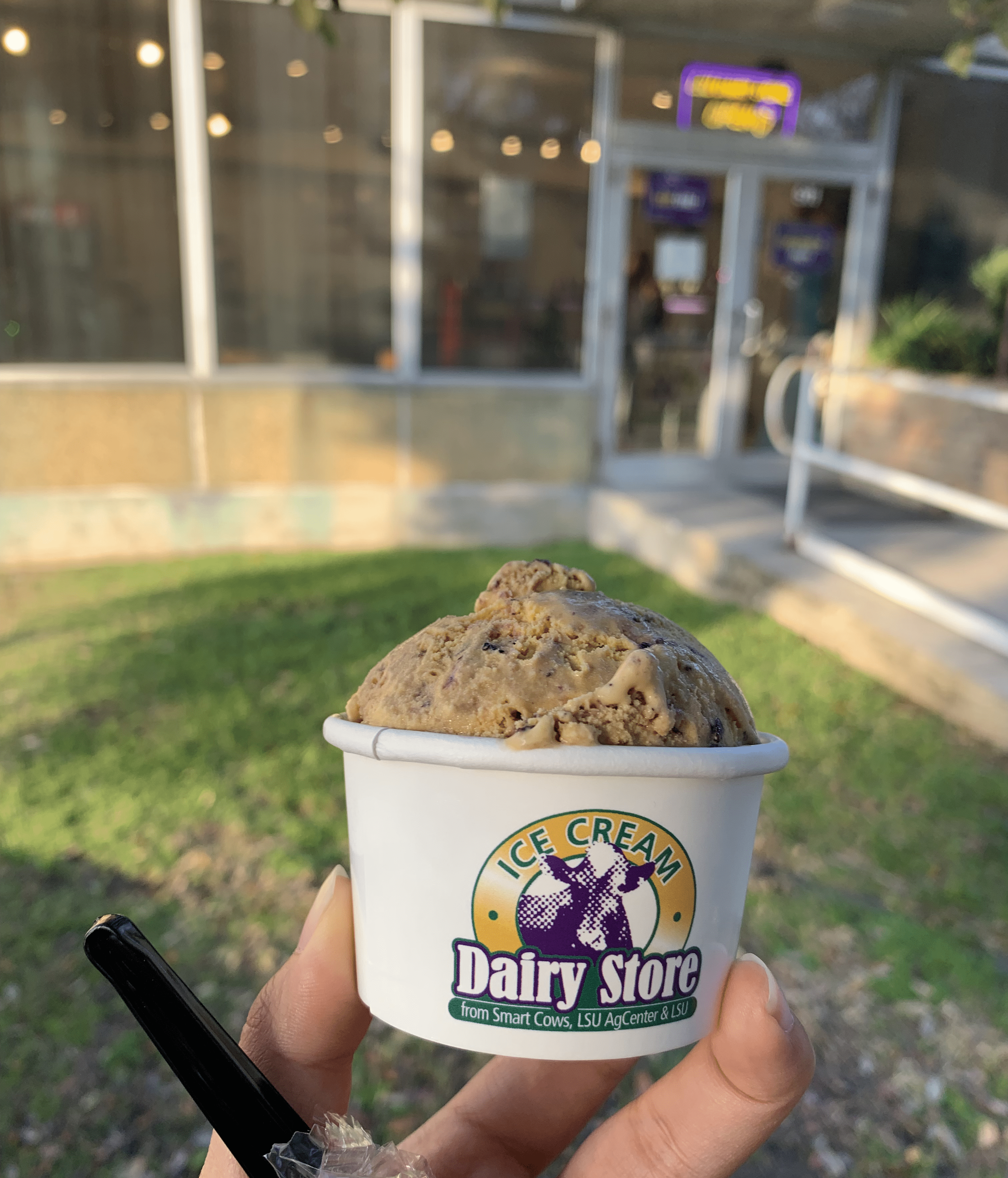 LSU Dairy Store - Baton Rouge, LA
