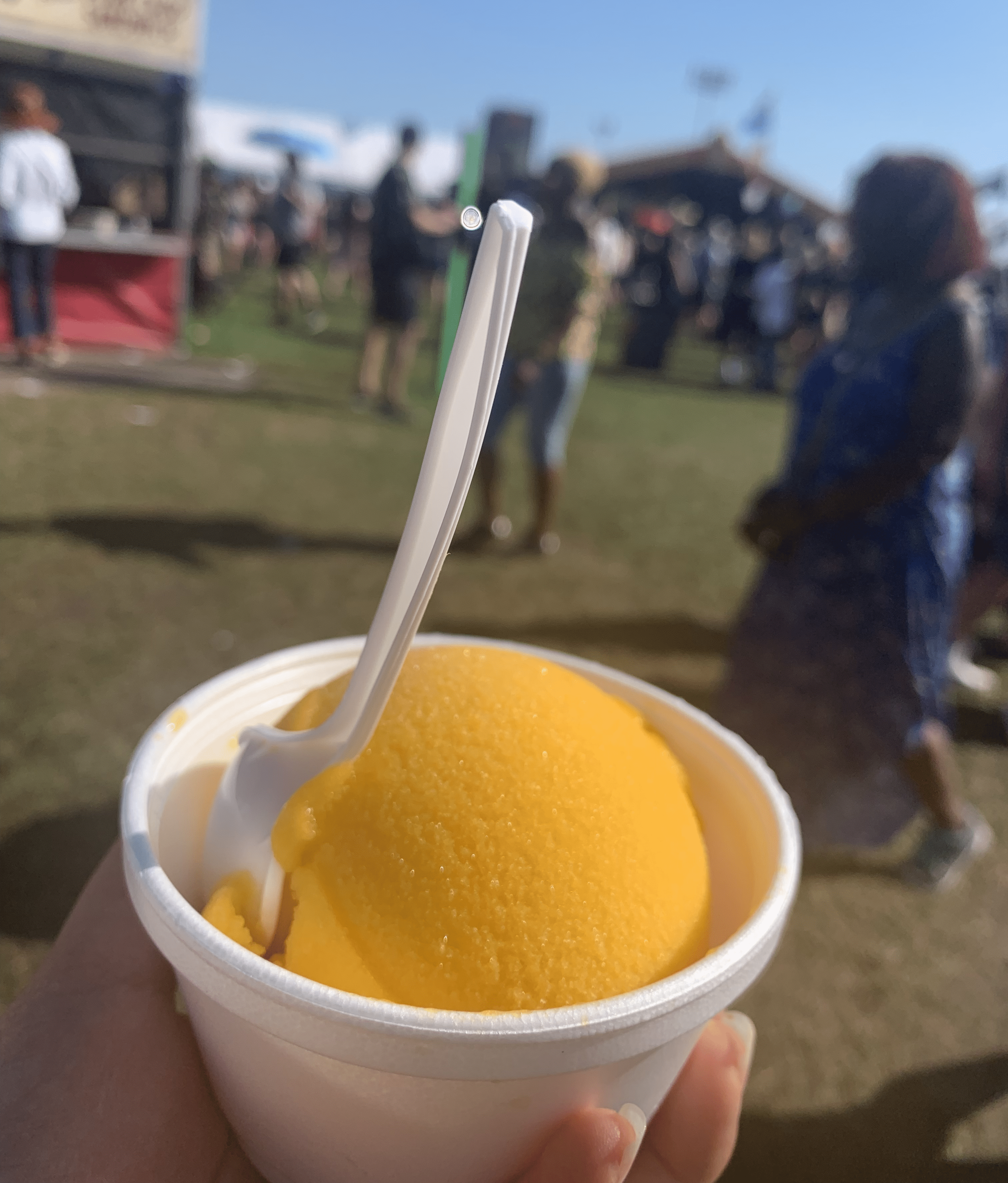 NOLA Jazz Fest - New Orleans, LA